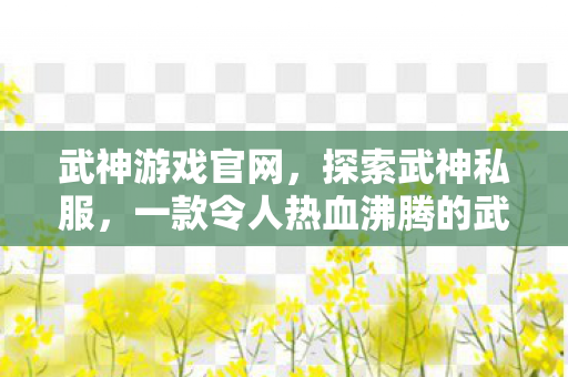 武神游戏官网，探索武神私服，一款令人热血沸腾的武侠游戏