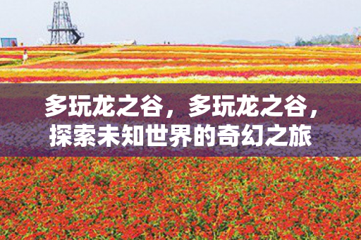 多玩龙之谷，多玩龙之谷，探索未知世界的奇幻之旅