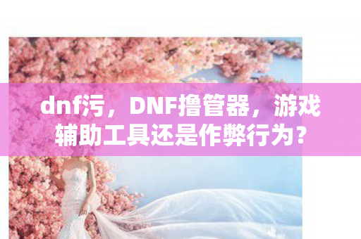 dnf污，DNF撸管器，游戏辅助工具还是作弊行为？