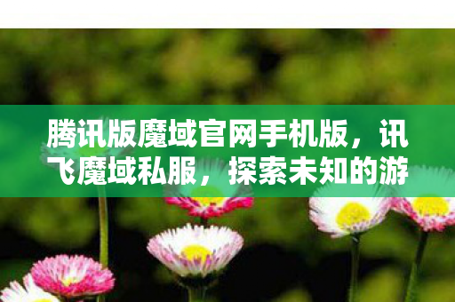 腾讯版魔域官网手机版，讯飞魔域私服，探索未知的游戏世界
