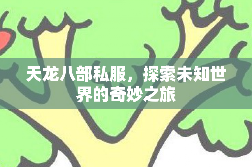 天龙八部私服，探索未知世界的奇妙之旅