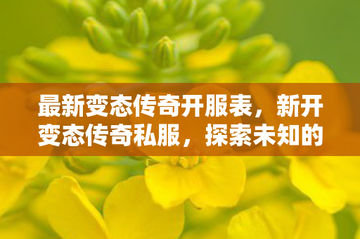 最新变态传奇开服表，新开变态传奇私服，探索未知的游戏世界