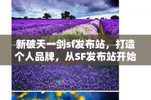 新破天一剑sf发布站，打造个人品牌，从SF发布站开始