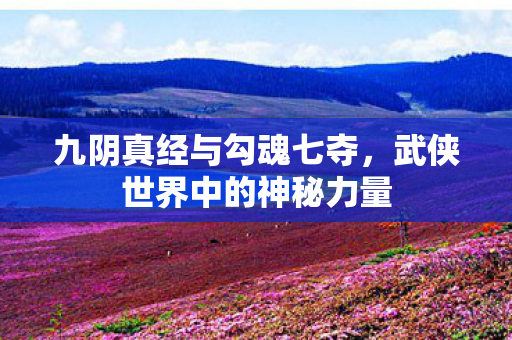 九阴真经与勾魂七夺，武侠世界中的神秘力量