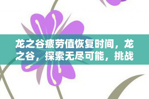 龙之谷疲劳值恢复时间，龙之谷，探索无尽可能，挑战你的疲劳极限