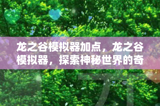 龙之谷模拟器加点，龙之谷模拟器，探索神秘世界的奇妙之旅