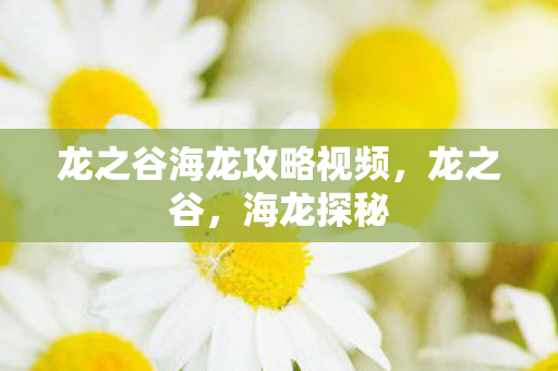 龙之谷海龙攻略视频，龙之谷，海龙探秘