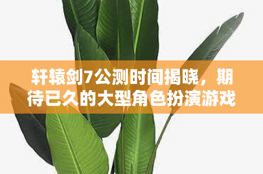 轩辕剑7公测时间揭晓，期待已久的大型角色扮演游戏即将开放