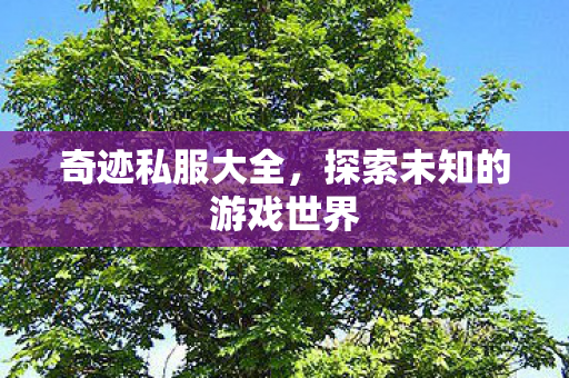 奇迹私服大全，探索未知的游戏世界