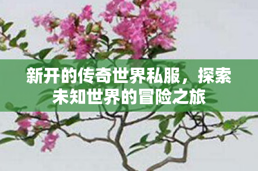 新开的传奇世界私服，探索未知世界的冒险之旅