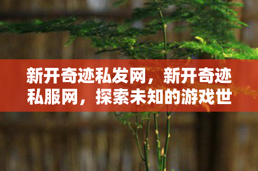 新开奇迹私发网，新开奇迹私服网，探索未知的游戏世界