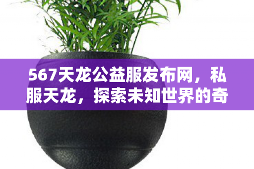 567天龙公益服发布网，私服天龙，探索未知世界的奇幻之旅