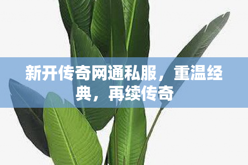 新开传奇网通私服，重温经典，再续传奇