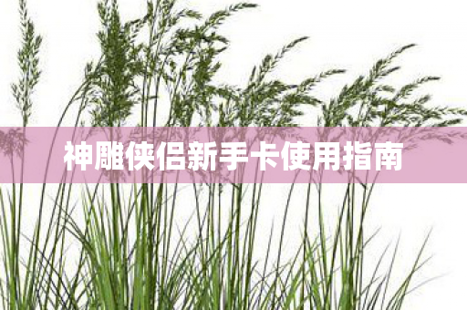 神雕侠侣新手卡使用指南