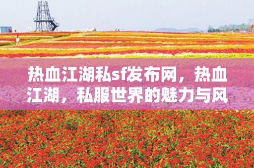 热血江湖私sf发布网，热血江湖，私服世界的魅力与风险