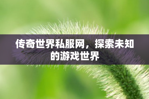 传奇世界私服网，探索未知的游戏世界