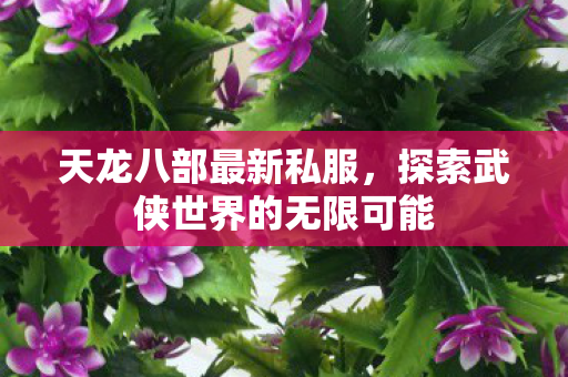 天龙八部最新私服，探索武侠世界的无限可能