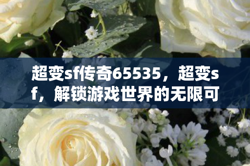 超变sf传奇65535,超变sf,解锁游戏世界的无限可能 超变sf传奇65535,超变sf,解锁游戏世界的无限可能
