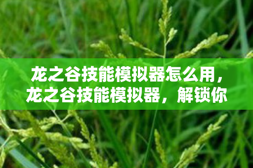 龙之谷技能模拟器怎么用，龙之谷技能模拟器，解锁你的战斗潜能