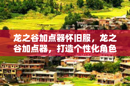 龙之谷加点器怀旧服，龙之谷加点器，打造个性化角色，提升游戏体验