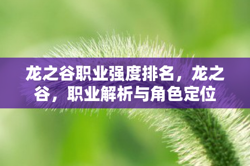 龙之谷职业强度排名，龙之谷，职业解析与角色定位