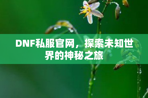 DNF私服官网,探索未知世界的神秘之旅 DNF私服官网,探索未知世界的神秘之旅