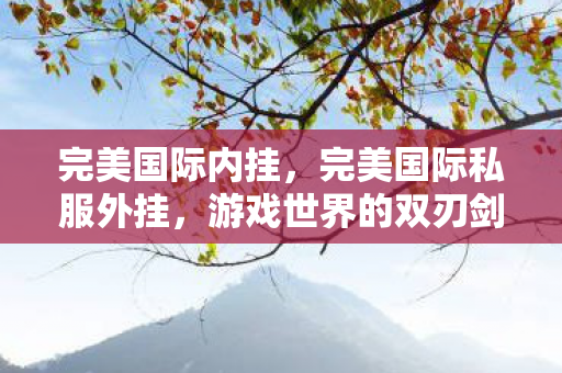 完美国际内挂,完美国际私服外挂,游戏世界的双刃剑 完美国际内挂,完美国际私服外挂,游戏世界的双刃剑