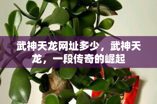 武神天龙网址多少，武神天龙，一段传奇的崛起