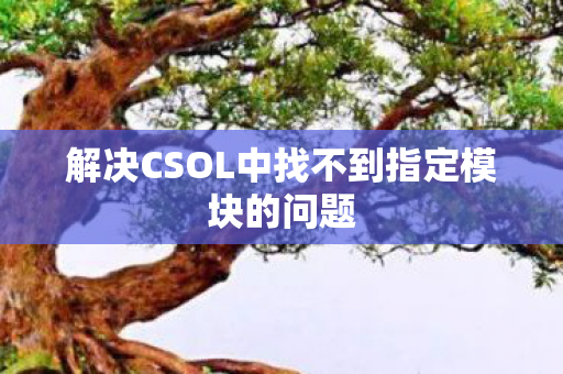 解决CSOL中找不到指定模块的问题