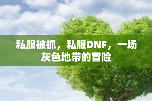 私服被抓，私服DNF，一场灰色地带的冒险