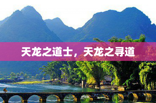 天龙之道士，天龙之寻道