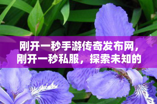 刚开一秒手游传奇发布网，刚开一秒私服，探索未知的游戏世界