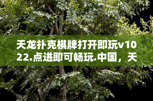 天龙扑克棋牌打开即玩v1022.点进即可畅玩.中国，天龙扑克，一场跨越时空的纸牌传奇