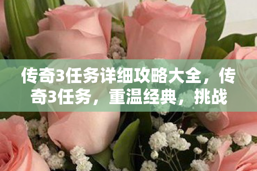 传奇3任务详细攻略大全，传奇3任务，重温经典，挑战自我