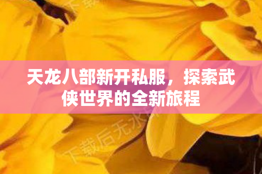 天龙八部新开私服，探索武侠世界的全新旅程