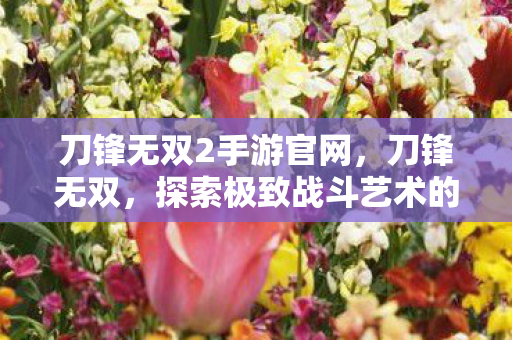 刀锋无双2手游官网，刀锋无双，探索极致战斗艺术的旅程