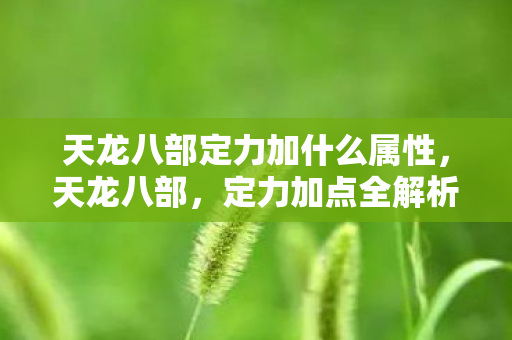 天龙八部定力加什么属性，天龙八部，定力加点全解析