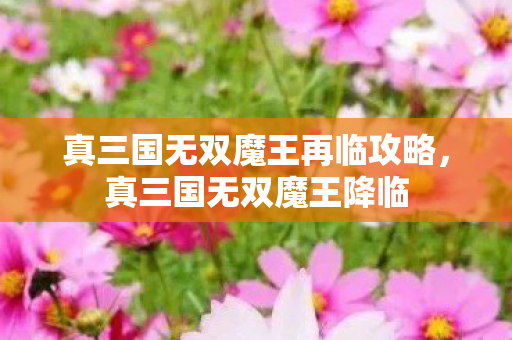 真三国无双魔王再临攻略，真三国无双魔王降临