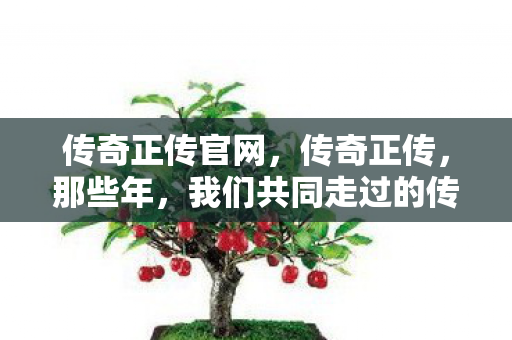 传奇正传官网，传奇正传，那些年，我们共同走过的传奇之路