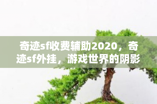 奇迹sf收费辅助2020，奇迹sf外挂，游戏世界的阴影与警示