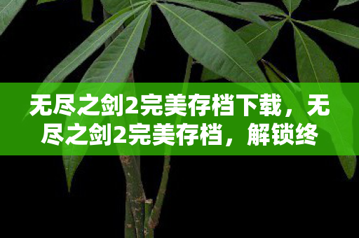 无尽之剑2完美存档下载，无尽之剑2完美存档，解锁终极游戏体验的秘籍
