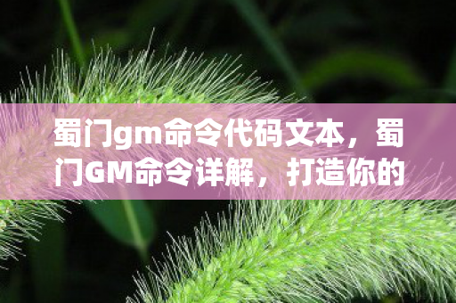 蜀门gm命令代码文本，蜀门GM命令详解，打造你的专属游戏世界
