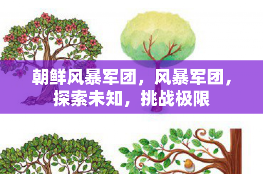 朝鲜风暴军团，风暴军团，探索未知，挑战极限