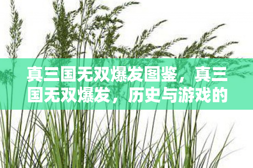 真三国无双爆发图鉴，真三国无双爆发，历史与游戏的碰撞