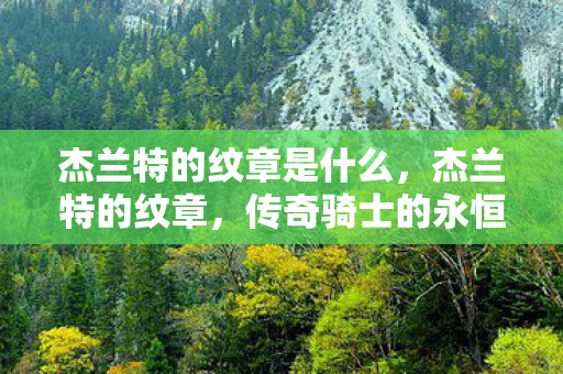 杰兰特的纹章是什么，杰兰特的纹章，传奇骑士的永恒印记