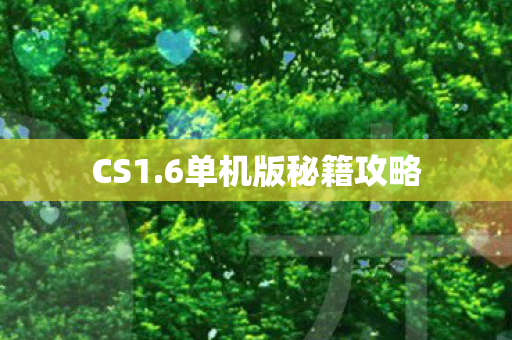 CS1.6单机版秘籍攻略