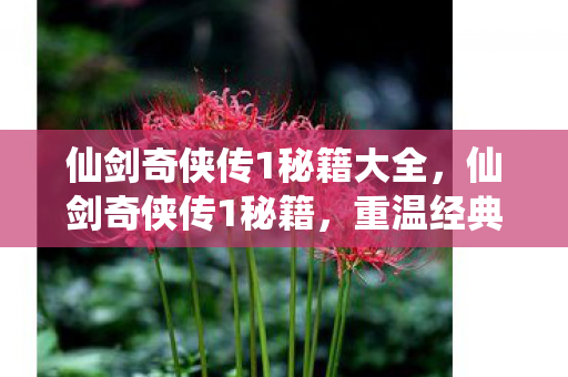 仙剑奇侠传1秘籍大全,仙剑奇侠传1秘籍,重温经典,解锁隐藏剧情 仙剑奇侠传1秘籍大全,仙剑奇侠传1秘籍,重温经典,解锁隐藏剧情