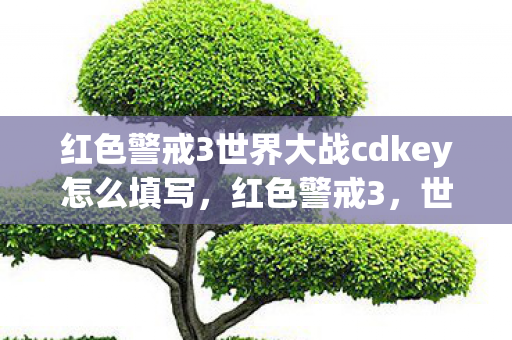 红色警戒3世界大战cdkey怎么填写,红色警戒3,世界大战的CDKEY与游戏背后的故事 红色警戒3世界大战cdkey怎么填写,红色警戒3,世界大战的CDKEY与游戏背后的故事