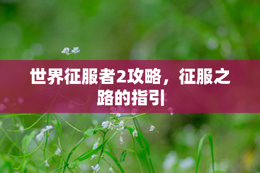 世界征服者2攻略，征服之路的指引