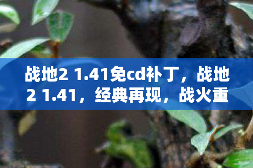 战地2 1.41免cd补丁,战地2 1.41,经典再现,战火重燃 战地2 1.41免cd补丁,战地2 1.41,经典再现,战火重燃
